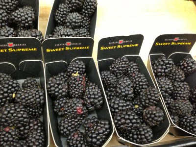 Heinon Tukku, kausivihannes