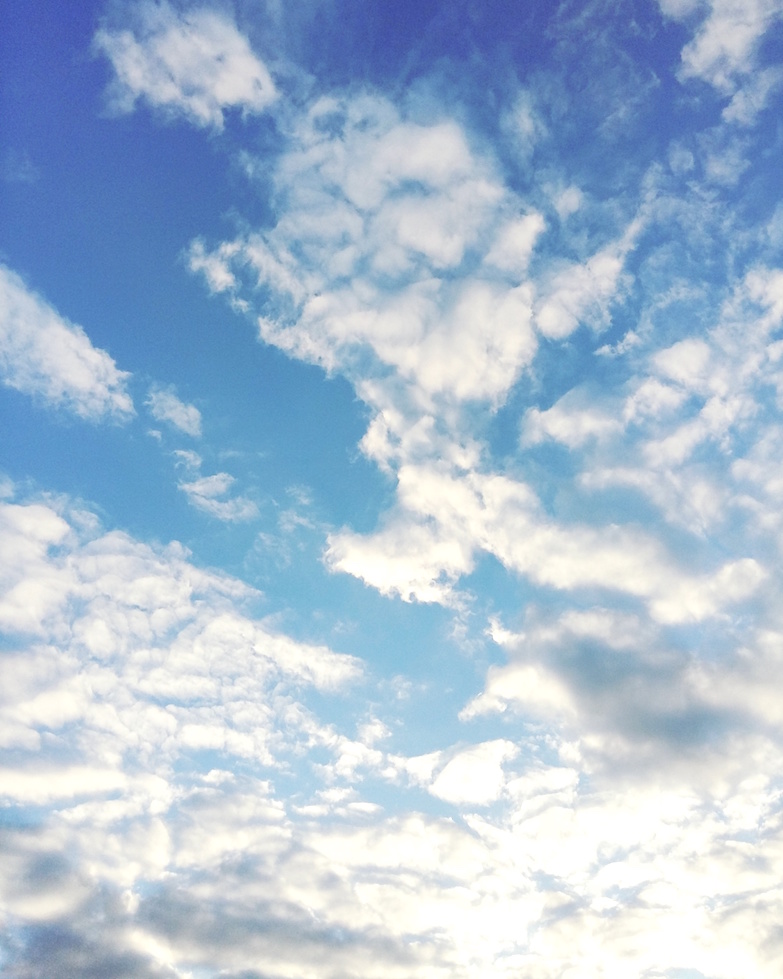 Janina Pohja, Fit Times