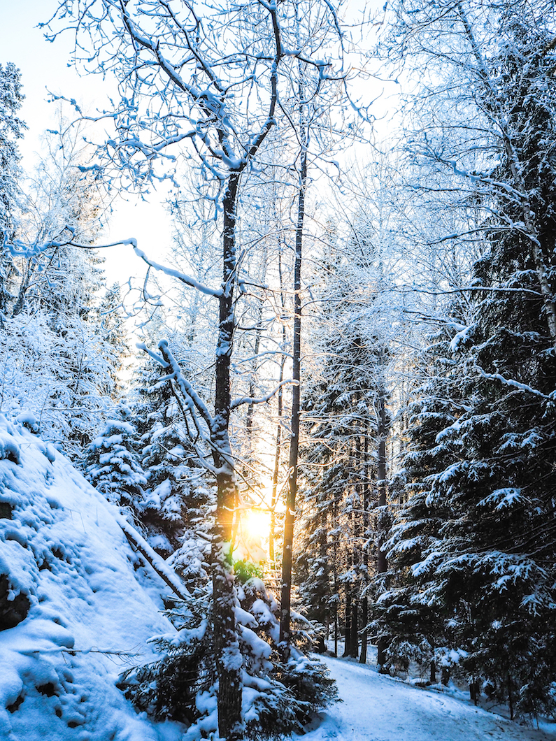 Nuuksio, luonnonpuisto, vaeltaminen, reitit, mitä on ystävyys, minkälainen on hyvä ystävä, ystävän huonot puolet, onko mulla riittävästi ystäviä, paras ystävä, miksi mulla ei ole parasta ystävää, oivalluksia