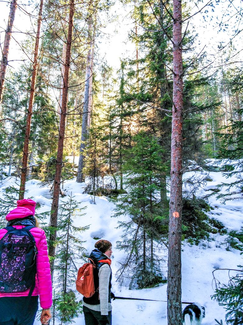 Repoveden kansallispuisto, luontopolku, Retkipaikka, paras luontopolku Suomessa, retkeily, vaeltaminen, suosittelu, Janina Michaela, lifestyle-bloggaaja, matkustelu, taianomainen Suomi