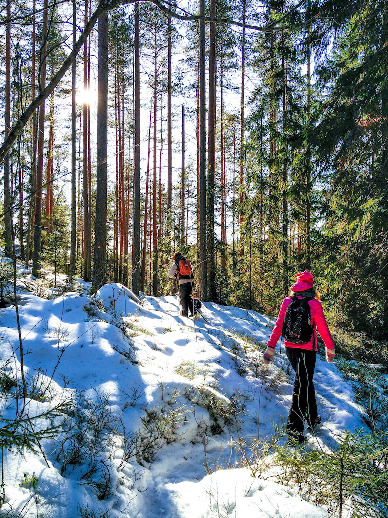 Repoveden kansallispuisto, luontopolku, Retkipaikka, paras luontopolku Suomessa, retkeily, vaeltaminen, suosittelu, Janina Michaela, lifestyle-bloggaaja, matkustelu, taianomainen Suomi