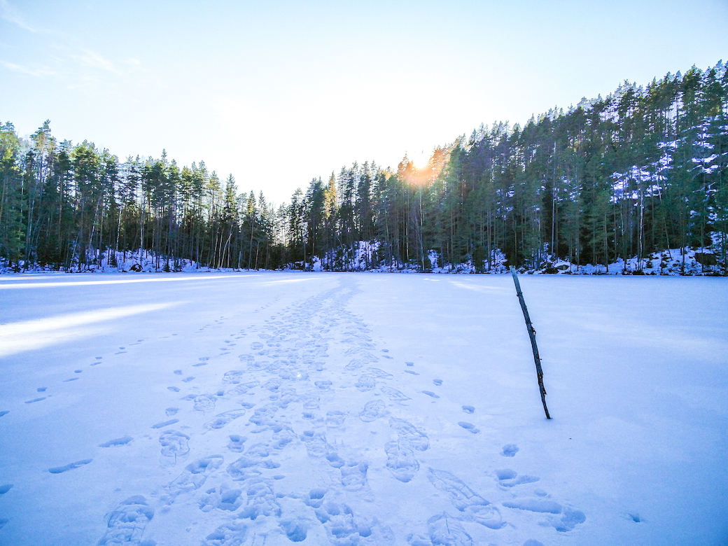 Repoveden kansallispuisto, luontopolku, Retkipaikka, paras luontopolku Suomessa, retkeily, vaeltaminen, suosittelu, Janina Michaela, lifestyle-bloggaaja, matkustelu, taianomainen Suomi