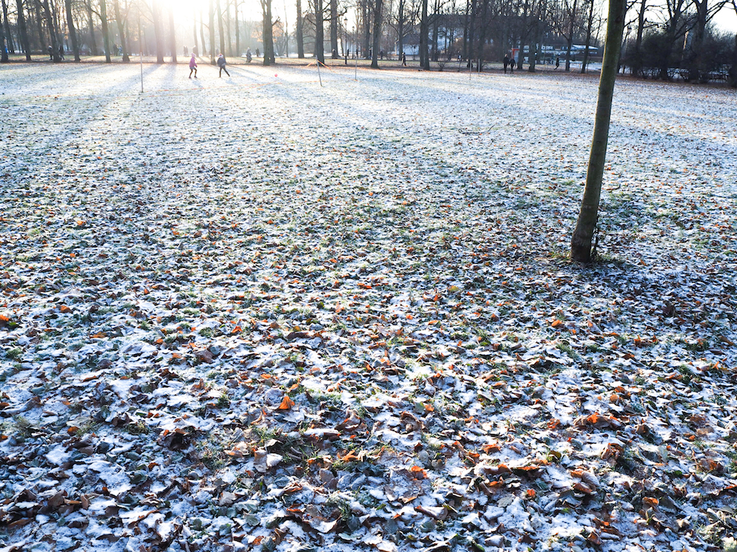 ruokavalio, miksi valita maidottomuus, kiistelty ruokavalio, gluteeniton, ruokavalio kuntoon, näin syöt oikein, minä olen oikeassa, kenen ruokavalio on paras, Janina Michaela, bloggaaja, lifestyle-bloggaaja, ruokasota, kokkisota, ruokailutottumukset