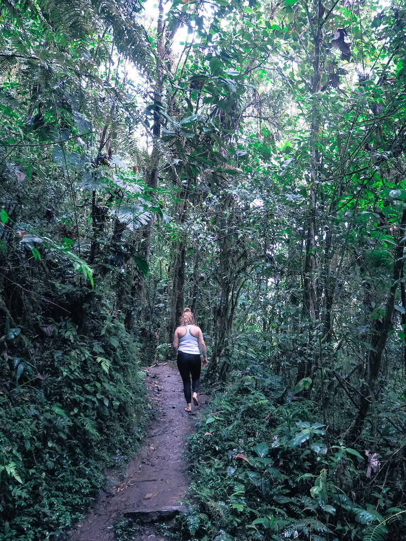 Janina Michaela, TFW Konala, TFW Warrior Challenge, Warrior Challenge kokemuksia, kokeilu, lifestyle-bloggaaja, sporttiblogi, Helsingin paras sali, Helsingin paras liikuntapaikka, ryhmätreenaus, kehittyminen, Ecuador, voiko sademetsään mennä