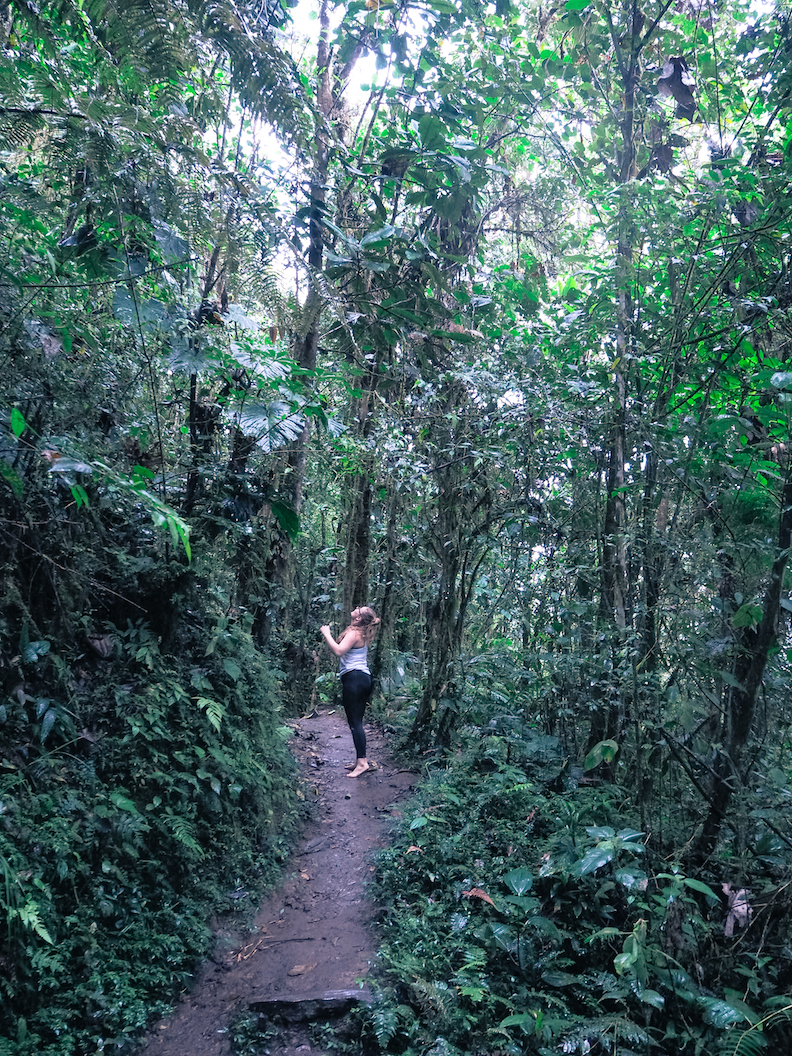 Janina Michaela, TFW Konala, TFW Warrior Challenge, Warrior Challenge kokemuksia, kokeilu, lifestyle-bloggaaja, sporttiblogi, Helsingin paras sali, Helsingin paras liikuntapaikka, ryhmätreenaus, kehittyminen, Ecuador, voiko sademetsään mennä