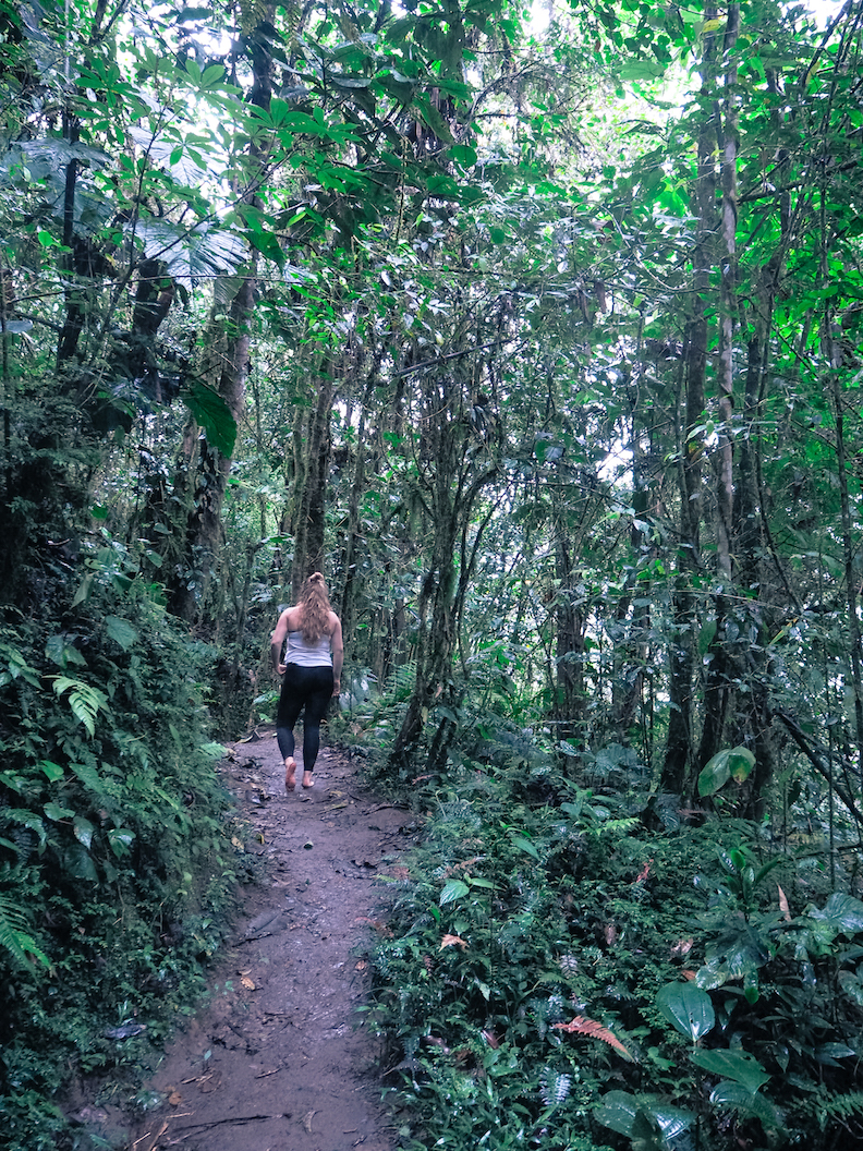 Janina Michaela, TFW Konala, TFW Warrior Challenge, Warrior Challenge kokemuksia, kokeilu, lifestyle-bloggaaja, sporttiblogi, Helsingin paras sali, Helsingin paras liikuntapaikka, ryhmätreenaus, kehittyminen, Ecuador, voiko sademetsään mennä