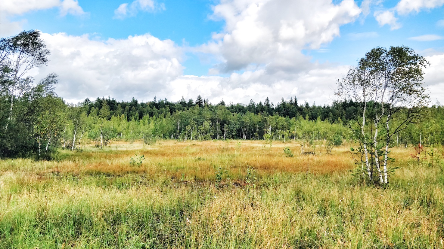 IMG_20170826_133625-01