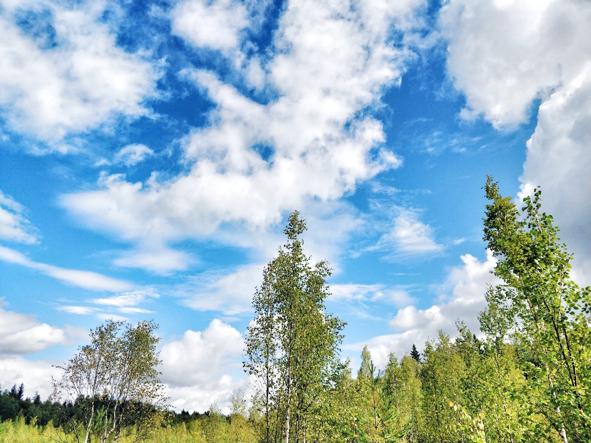 IMG_20170826_134030-01