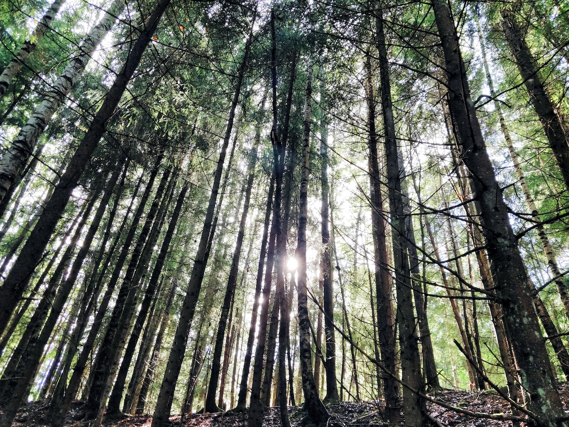 IMG_20170826_153604-01