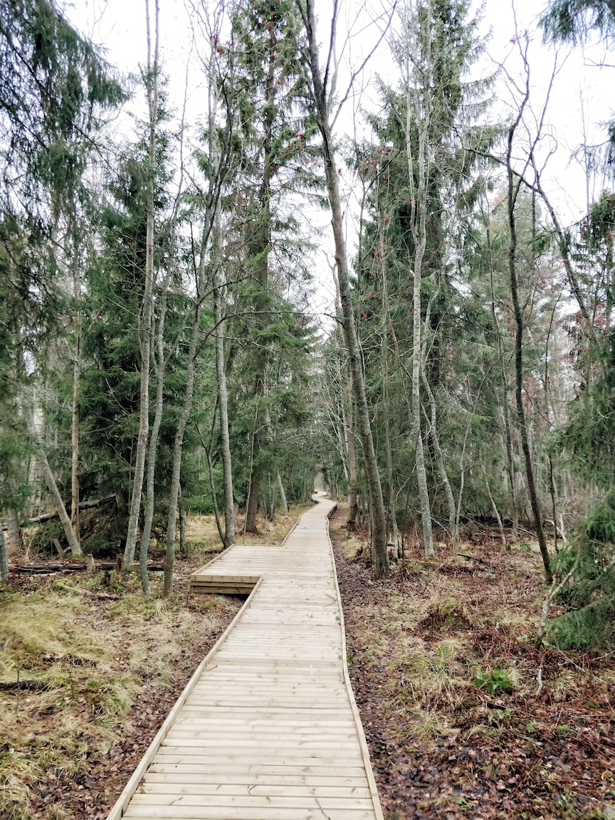 Visit Kokkola, luonto, ulkoilu, vaeltaminen, luontopolku, Villa Elba, Janina Michaela, metsäterapia, henkinen hyvinvointi, raitis ilma, Suomi, retkeily