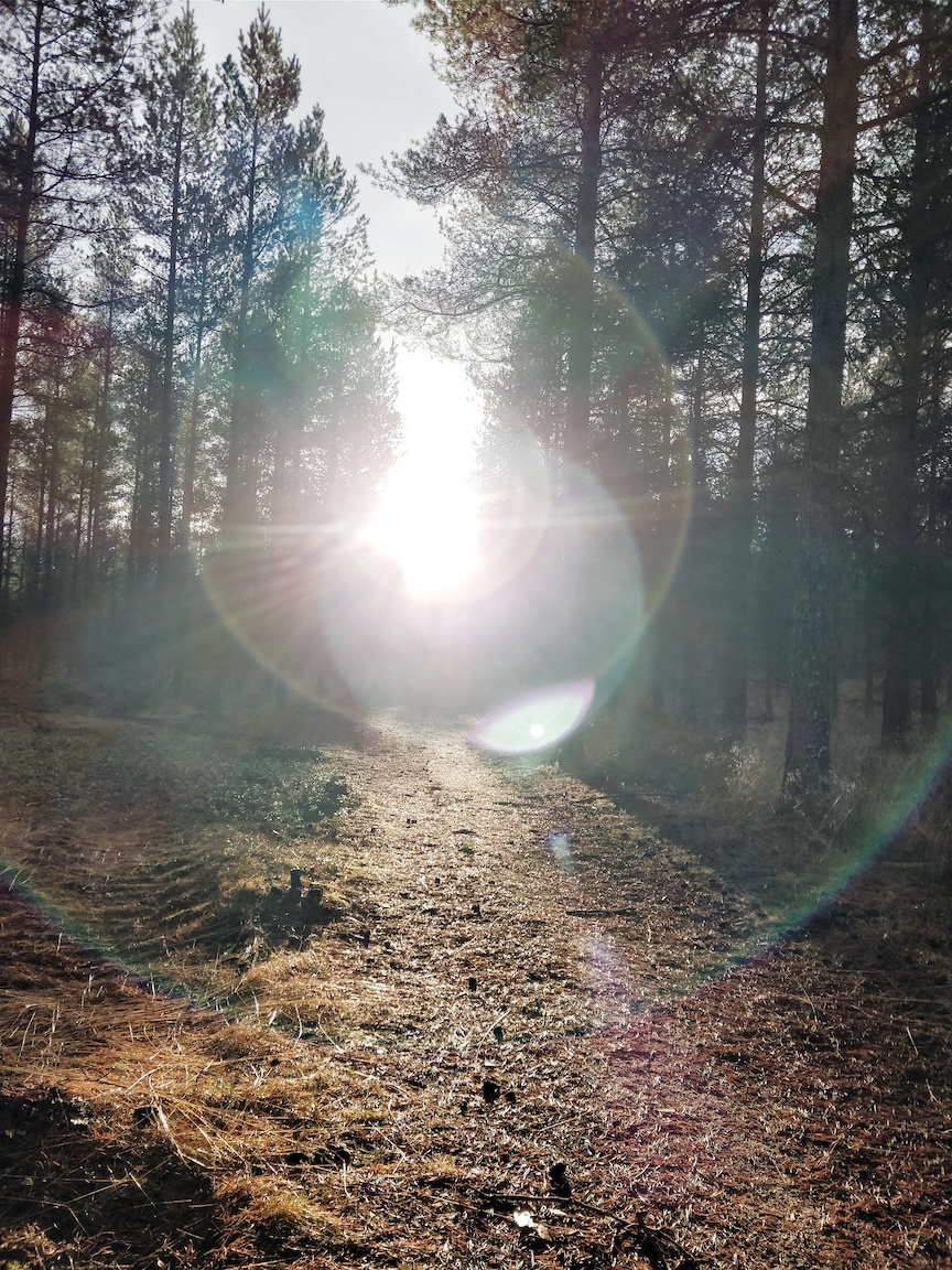 Visit Kokkola, luonto, ulkoilu, vaeltaminen, luontopolku, Villa Elba, Janina Michaela, metsäterapia, henkinen hyvinvointi, raitis ilma, Suomi, retkeily