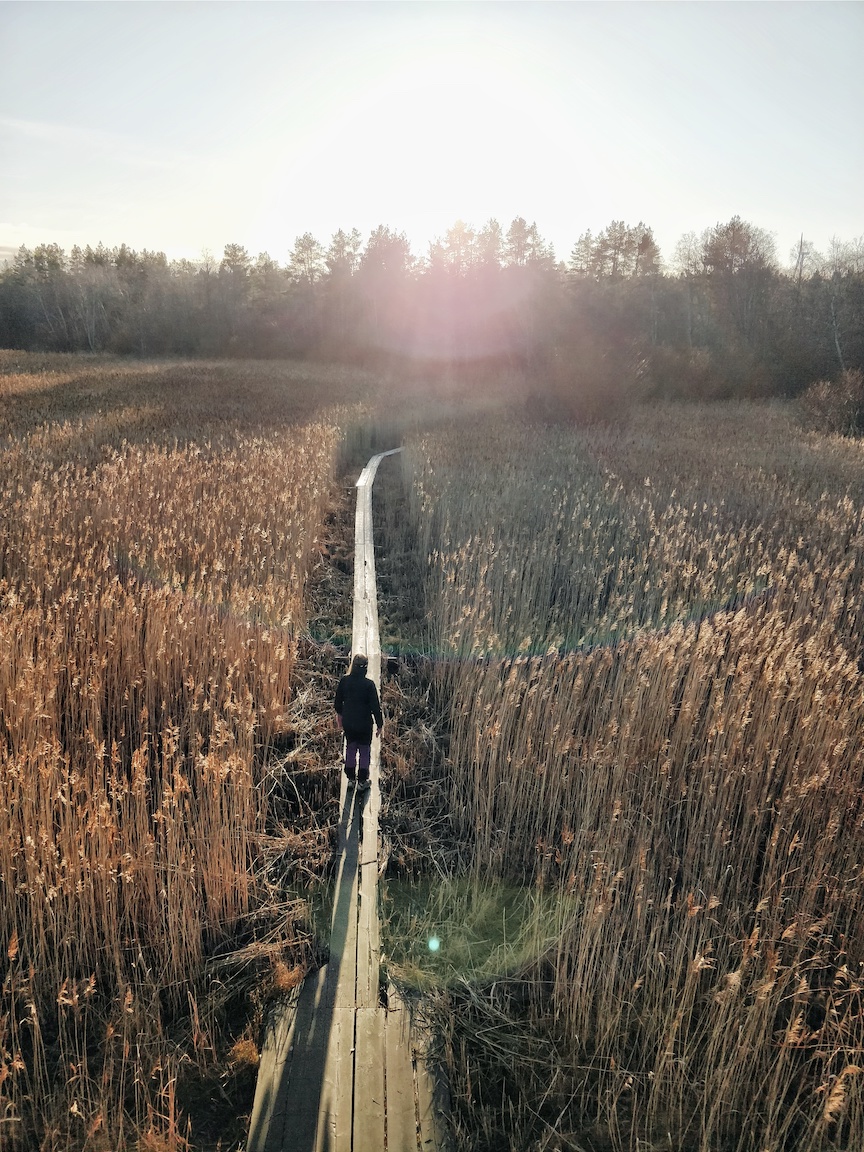 Visit Kokkola, luonto, ulkoilu, vaeltaminen, luontopolku, Villa Elba, Janina Michaela, metsäterapia, henkinen hyvinvointi, raitis ilma, Suomi, retkeily