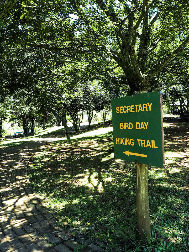 Mac Mac Pools, Etelä-Afrikka, Sabie, Hazyview, roadtrip, vaellus, vaeltaminen, matkablogi, reissussa, Janina Michaela