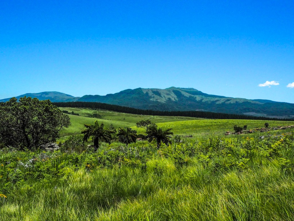 MAC MAC POOLS – ETELÄ-AFRIKAN LUONNON PALJUT